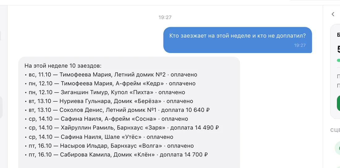 AI для владельца в кабинете Опушки